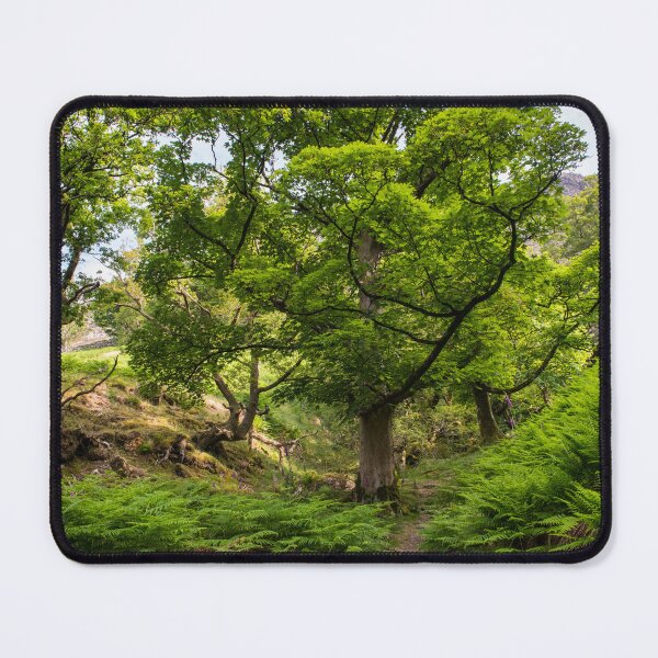 Item preview, Kirk Close Woodland designed and sold by John Dunbar.