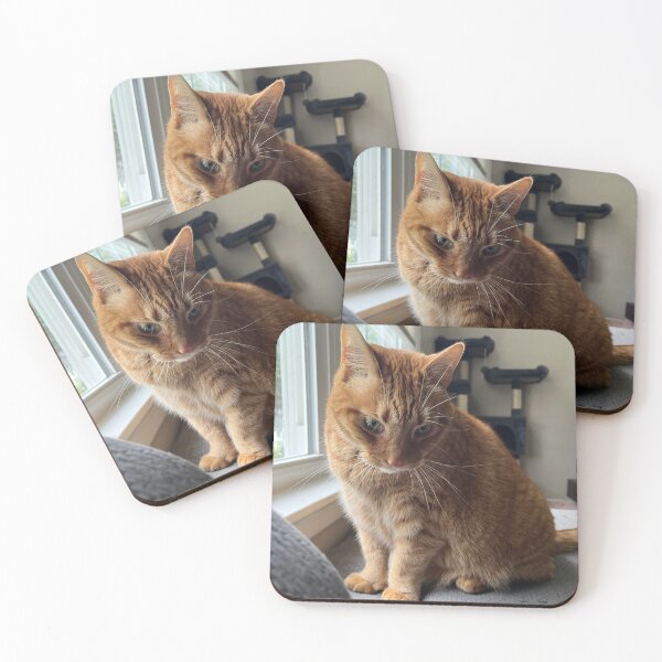 Item preview, Orange tabby designed and sold by maggiemuffin13.