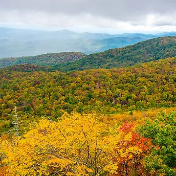 Artwork thumbnail, Blue Ridge Beauty by Roselyn Shoko