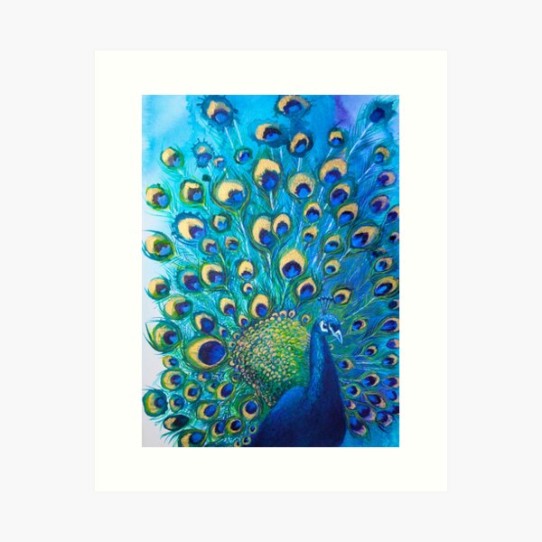 Full Glory Peacock Art Print