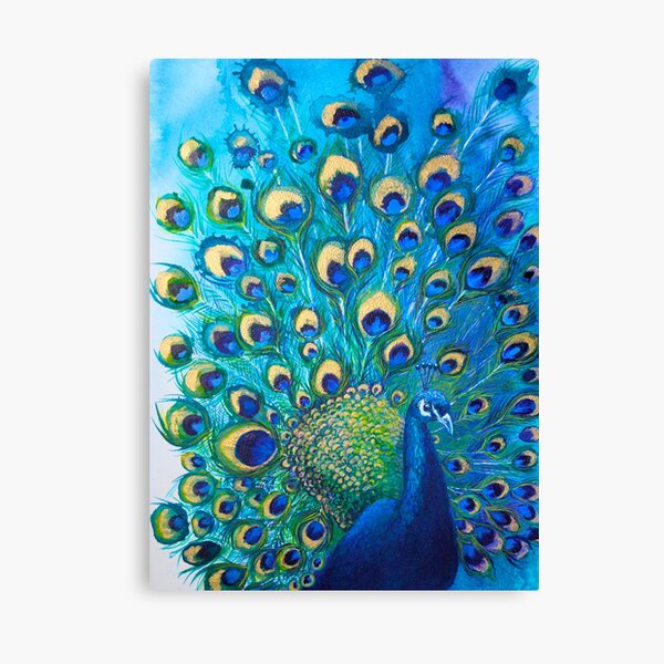 Kanavel Colorful Peacock Feathers On Canvas by Pirotehnik Print