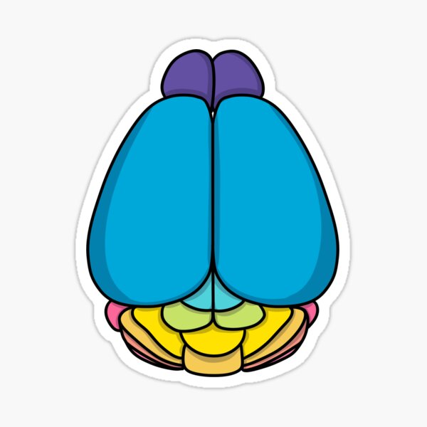 Cerveau de souris coloré Sticker