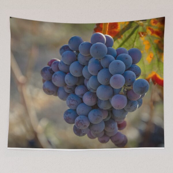Item preview, Grapes designed and sold by ChrisWarren01.