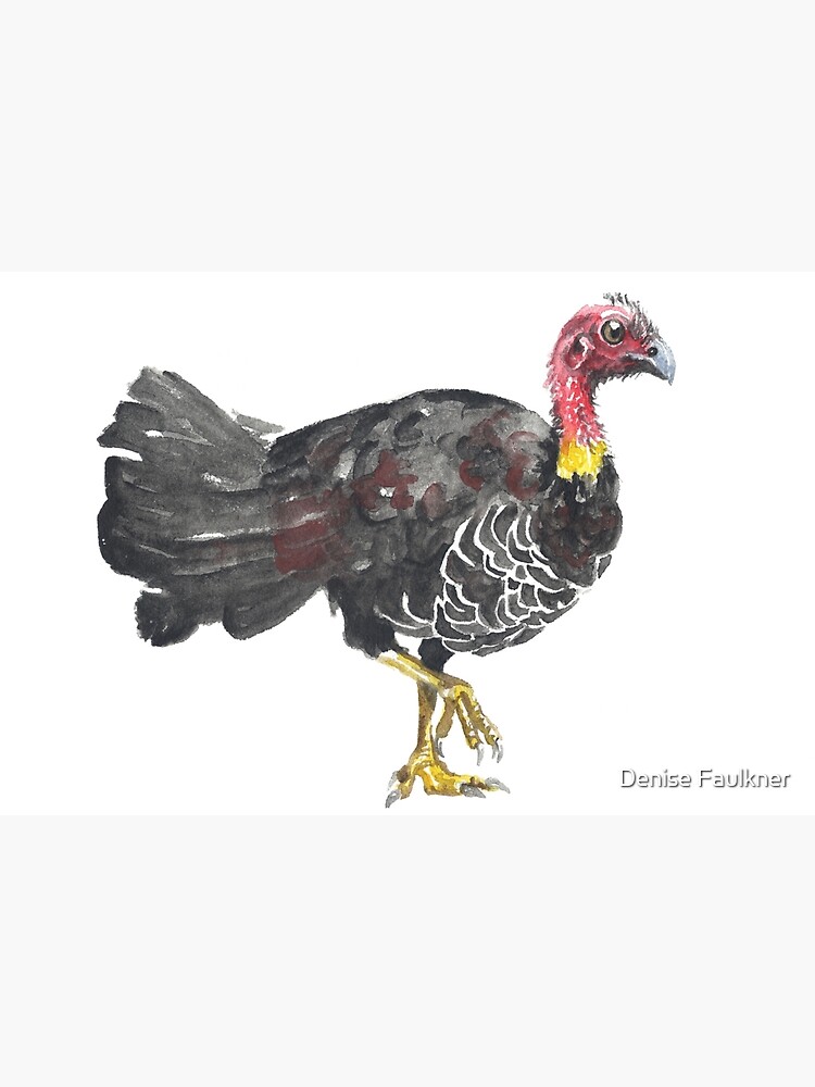 "Brush Turkey" Art Print for Sale by desines Redbubble