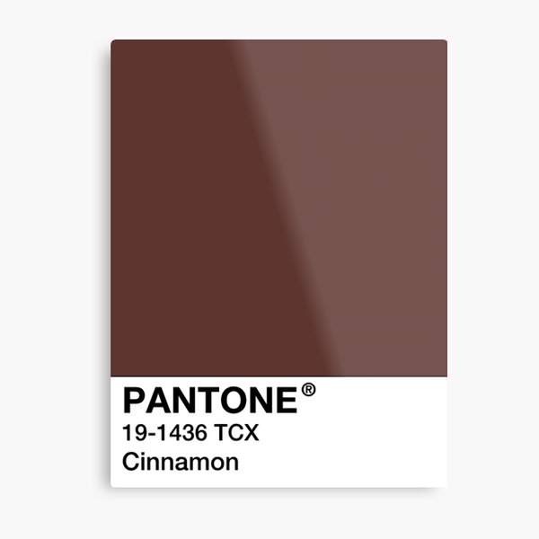 Pantone Dusty Olive - Warm Tone Gray Brown