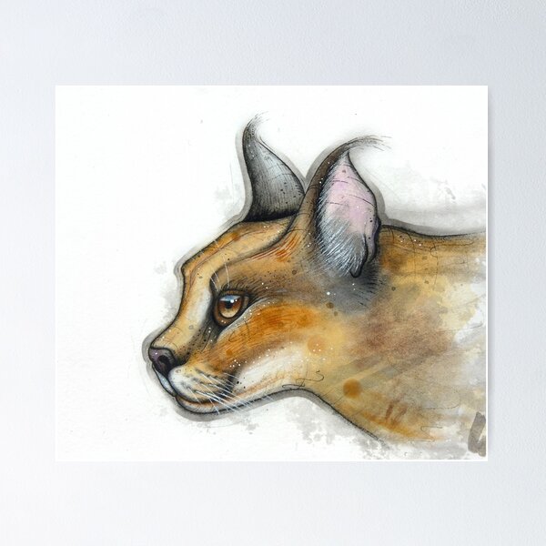 Caracal Study Poster