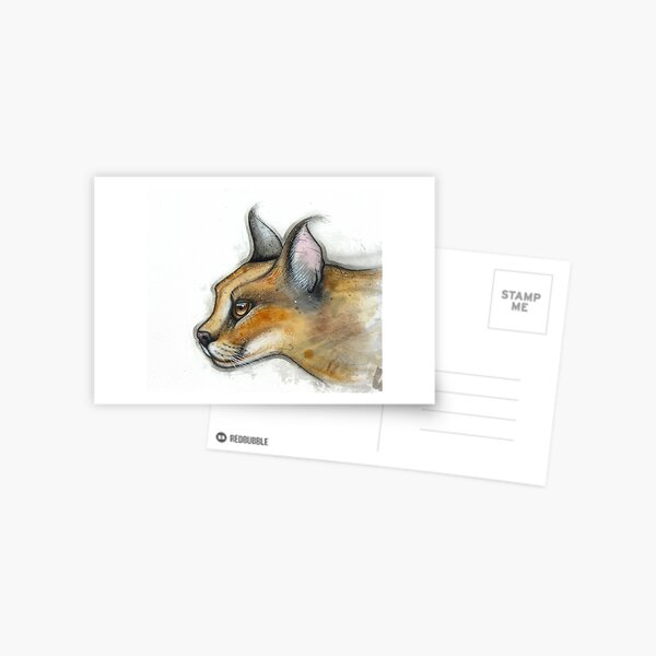 Caracal Study Postcard