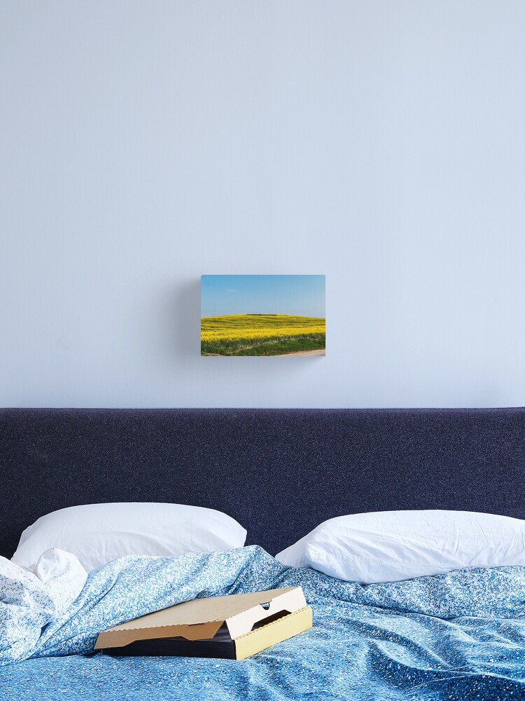 Thumbnail 2 of 3, Canvas Print, Yellow fields designed and sold by jimhellier.
