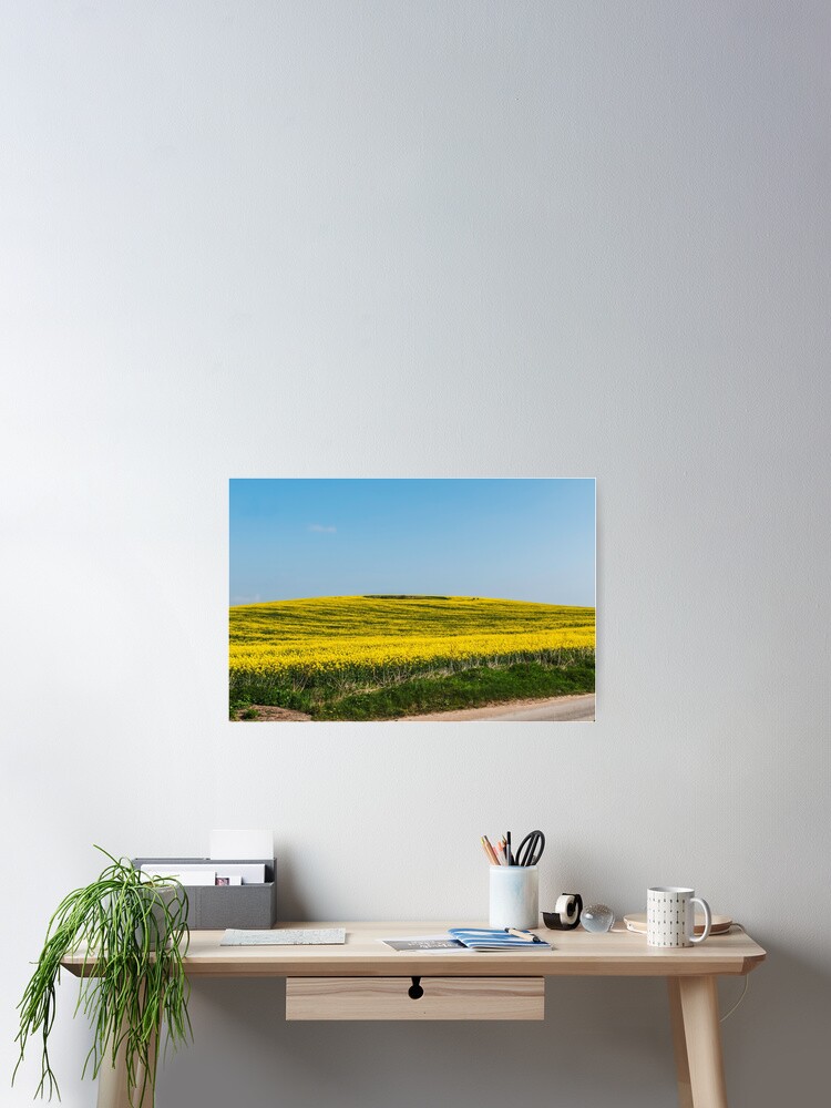 Thumbnail 2 of 3, Poster, Yellow fields designed and sold by jimhellier.