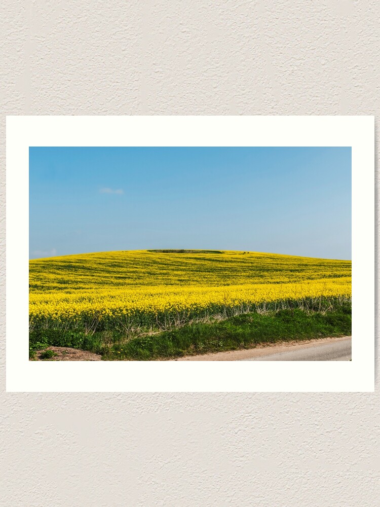 Thumbnail 1 of 3, Art Print, Yellow fields designed and sold by jimhellier.