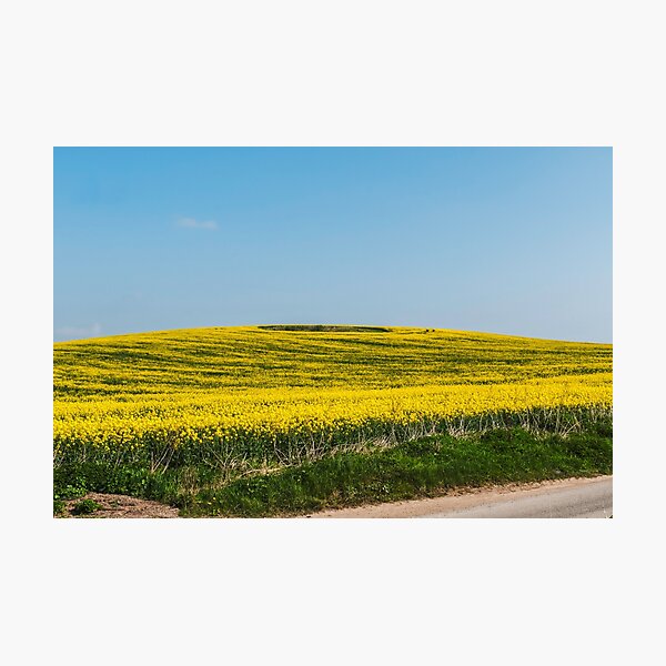 Item preview, Yellow fields   designed and sold by Jim Hellier.