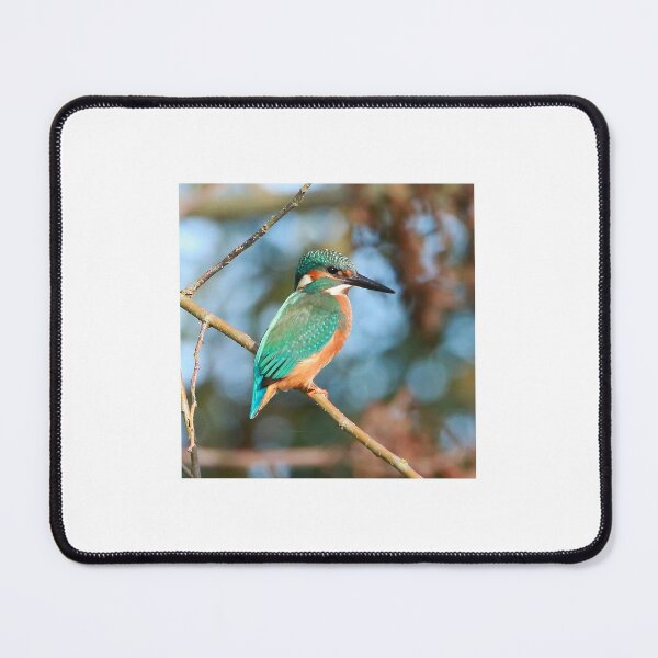 Item preview, King Fisher designed and sold by Mothboybrown.