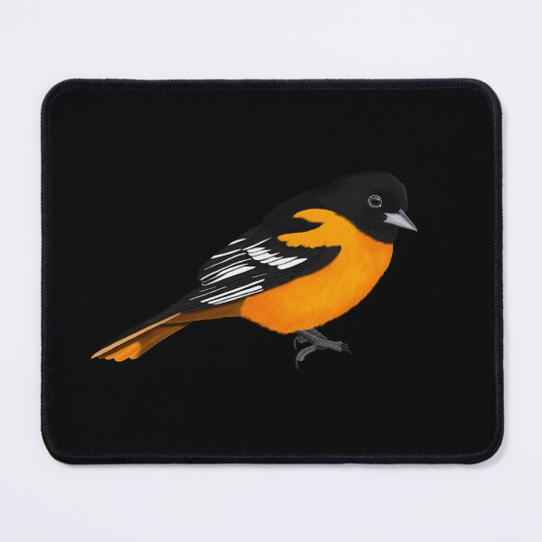 Item preview, Oriole Bird Birdlover Bird Watcher Biologist Ornithologist Garden Birds designed and sold by jz-birds.
