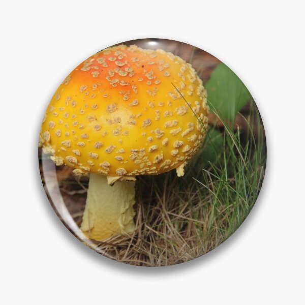 Item preview, Magic Mushroom designed and sold by Debbie Oppermann.