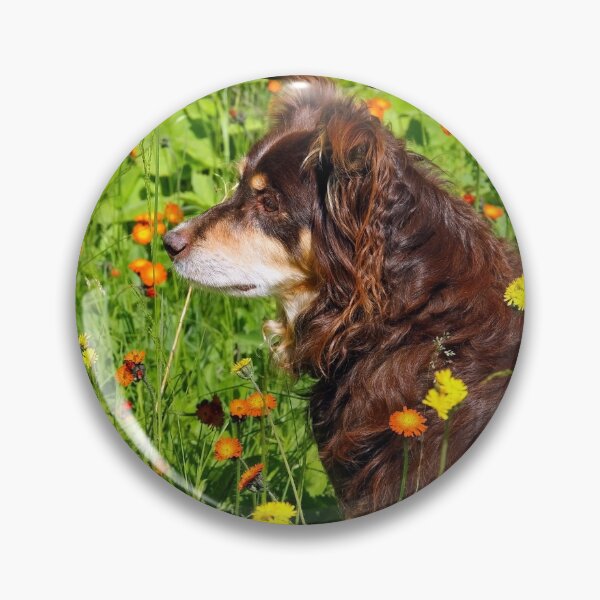 Item preview, A Thoughtful Moment For Australian Shepherd designed and sold by Debbie Oppermann.