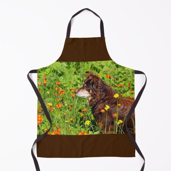 Item preview, A Thoughtful Moment For Australian Shepherd designed and sold by Debbie Oppermann.