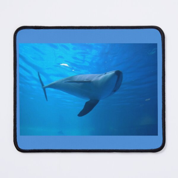 Item preview, Pacific White Dolphin designed and sold by KhajiitPhotos.