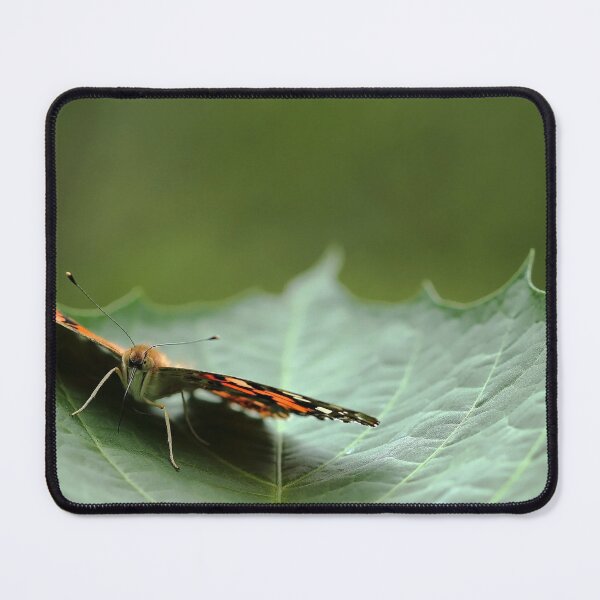 Item preview, Painted Lady Butterfly - Cradled designed and sold by Debbie Oppermann.