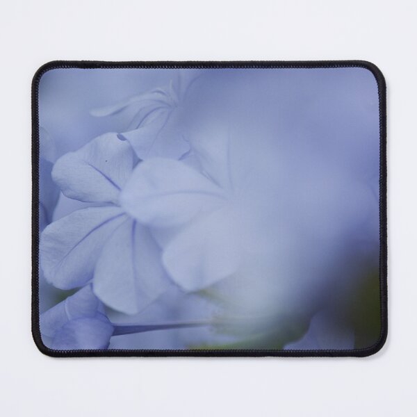 Item preview, Plumbago - Blue Jasmine designed and sold by Kim Chi Thai.