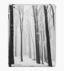 Freezing Kingdom iPad Case/Skin