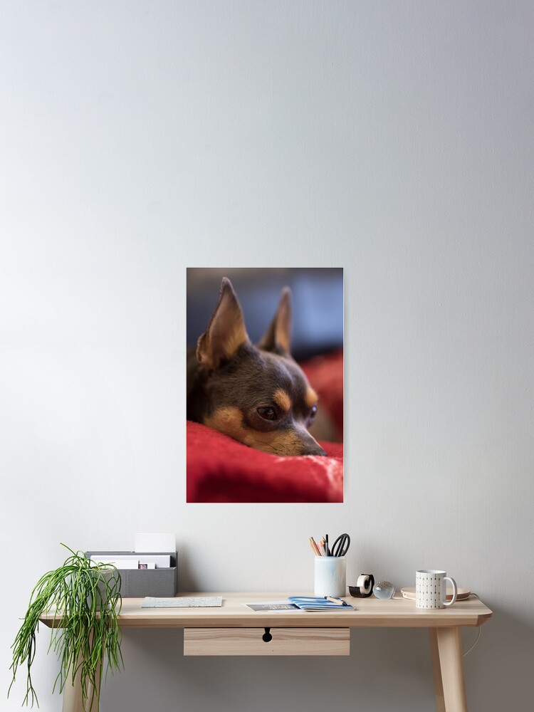 Thumbnail 2 of 3, Poster, Dog Bertas designed and sold by SerialSnapper.