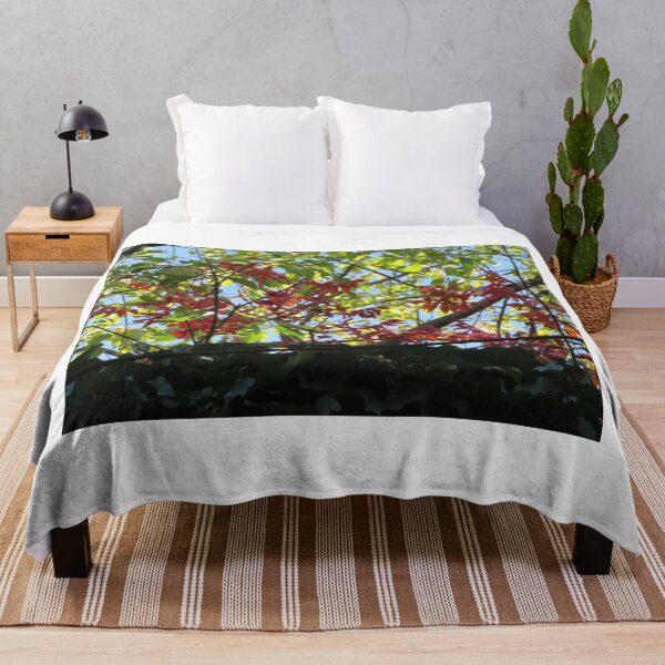 Item preview, Autumn Colors, Harsimus Branch Embankment, Jersey City, New Jersey designed and sold by lenspiro.