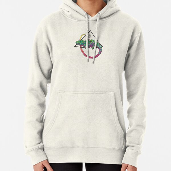 Chamaeleon in a triangle Pullover Hoodie