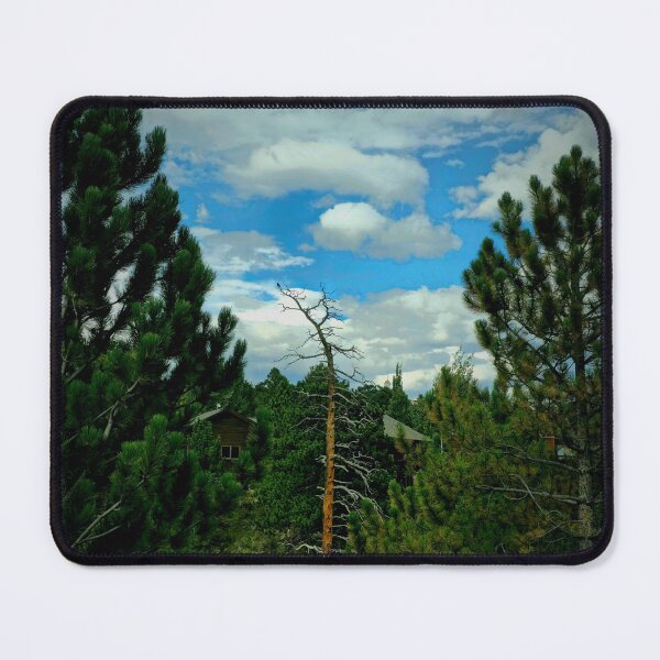 Item preview, Dead tree in forest designed and sold by spotluck.