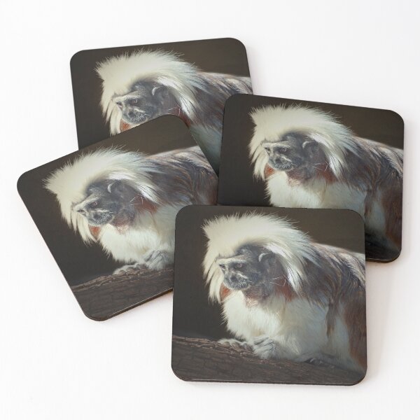 Item preview, Tamarin  designed and sold by Savannah Gibbs.
