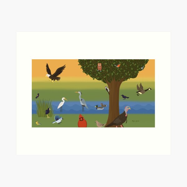 Item preview, Birds of NW Ohio designed and sold by MeganCartoonist.