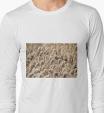 golden wheat field agriculture industry Long Sleeve T-Shirt