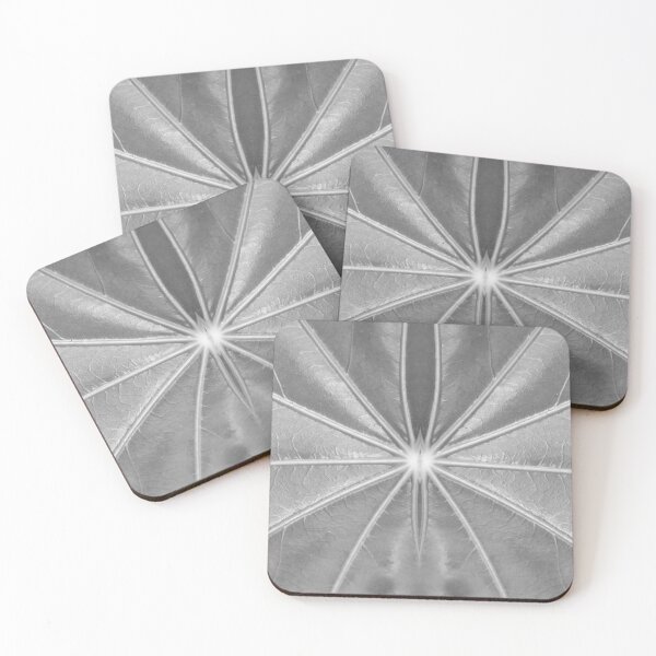 Item preview, Leaf Veins in Black and White by Adelaide artist Avril Thomas at Magpie Springs designed and sold by MagpieSprings.