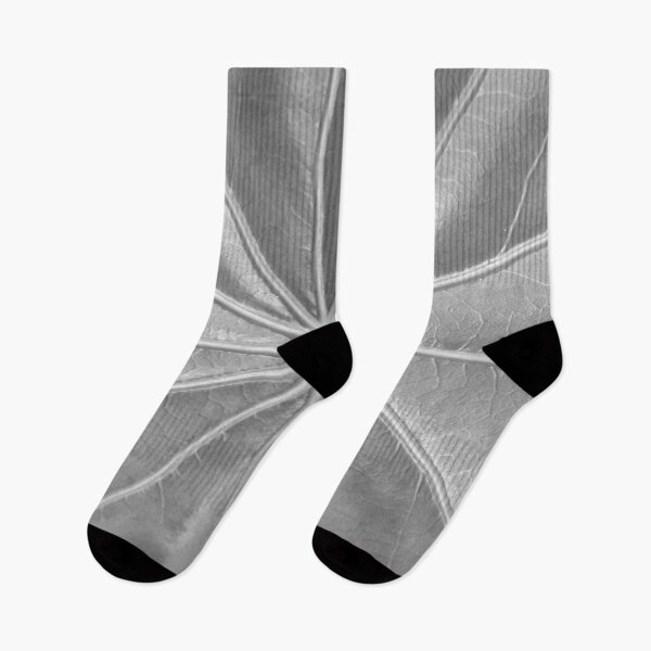 Item preview, Leaf Veins in Black and White by Adelaide artist Avril Thomas at Magpie Springs designed and sold by MagpieSprings.