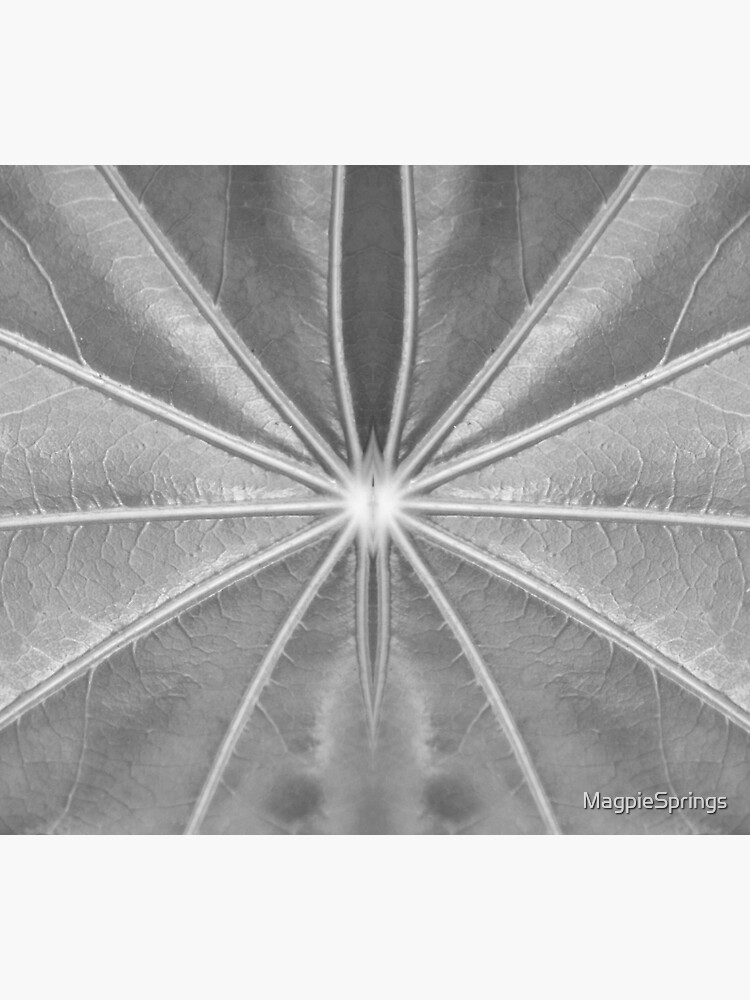 Thumbnail 3 of 3, Sticker, Leaf Veins in Black and White by Adelaide artist Avril Thomas at Magpie Springs designed and sold by MagpieSprings.