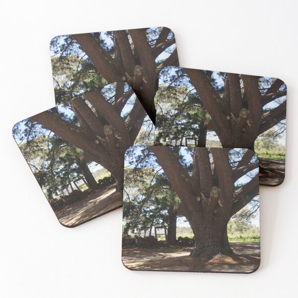 Item preview, The big Pine Tree in the Middle by Adelaide artist Avril Thomas at Magpie Springs designed and sold by MagpieSprings.