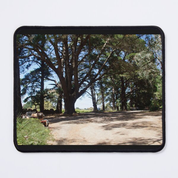 Item preview, Pine Trees in the Carpark by Adelaide artist Avril Thomas at Magpie Springs designed and sold by MagpieSprings.