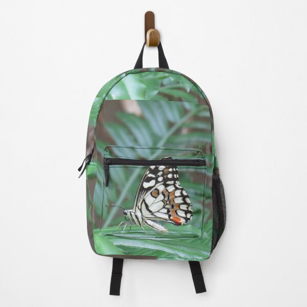 Item preview, Chequered swallowtail butterfly with wings closed designed and sold by greentiger1.