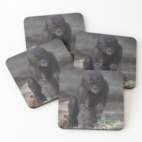 Item preview, Western Lowland Gorilla  designed and sold by Sharon the Zoo Lady Photography .