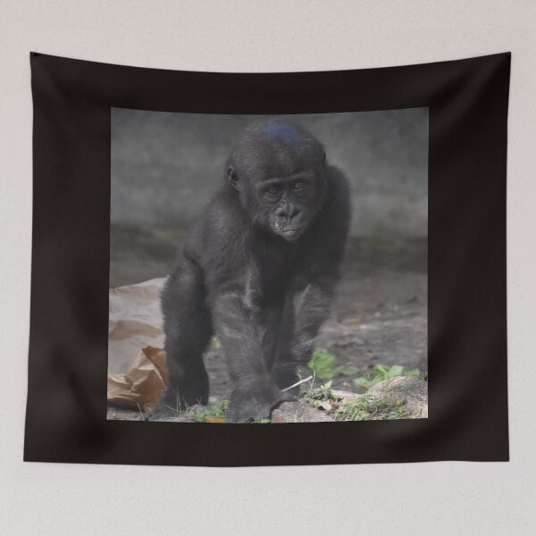 Item preview, Western Lowland Gorilla  designed and sold by Sharon the Zoo Lady Photography .