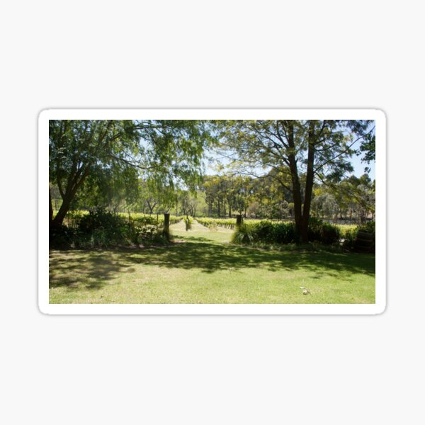 Item preview, A View in the Garden by Adelaide artist Avril Thomas at Magpie Springs designed and sold by MagpieSprings.