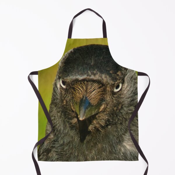 Item preview, Jackdaw designed and sold by GiantPaul.