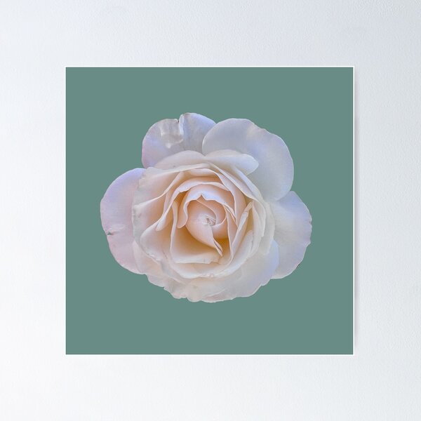 Item preview, White Rose designed and sold by Pixel and Paintbrush.