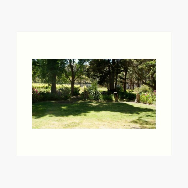 Item preview, View from the side garden by Adelaide artist Avril Thomas at Magpie Springs designed and sold by MagpieSprings.