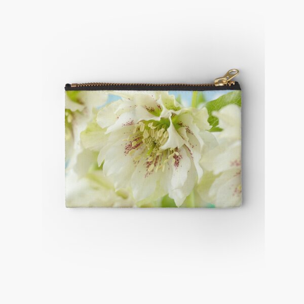 Item preview, Helleborus x hybridus  Double white with spots  Hellebore  designed and sold by Chris Burrows.