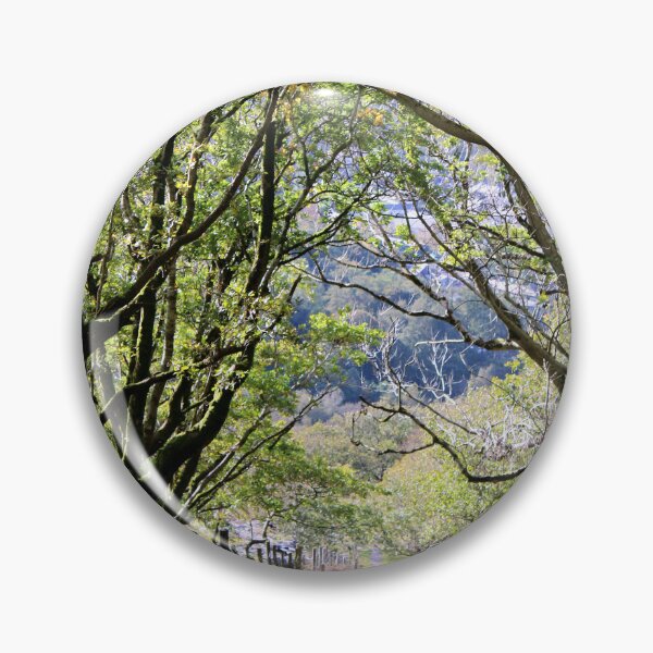 Item preview, tree lined walk designed and sold by KathleenDawson.