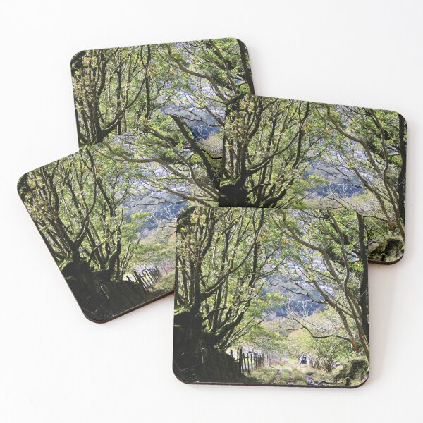 Item preview, tree lined walk designed and sold by KathleenDawson.