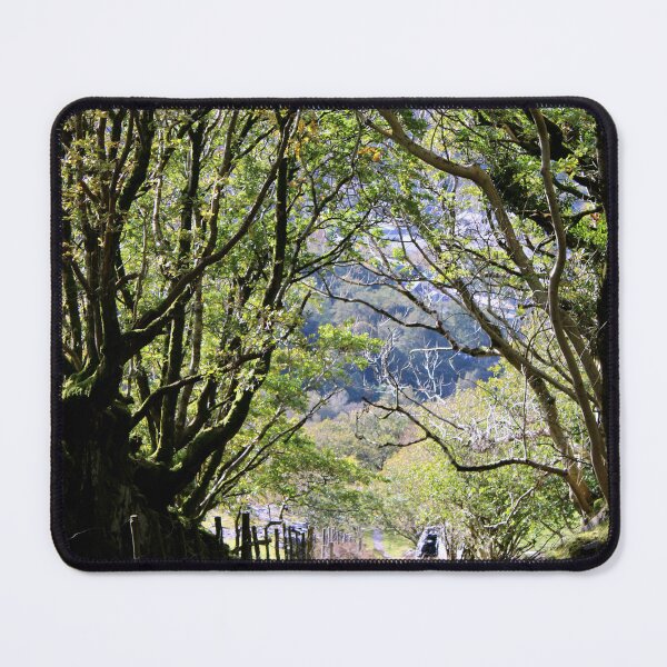 Item preview, tree lined walk designed and sold by KathleenDawson.