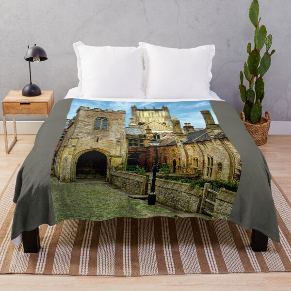 Item preview, Wells Cathedral and Vicars Close designed and sold by Alisonchambers2.