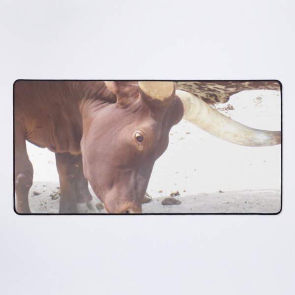 Item preview, Ankole - Ankole cow designed and sold by animal-animal.