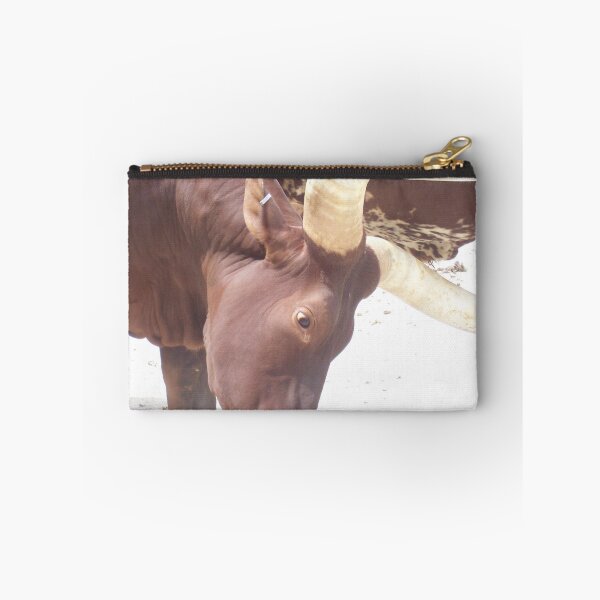 Item preview, Ankole - Ankole cow designed and sold by animal-animal.